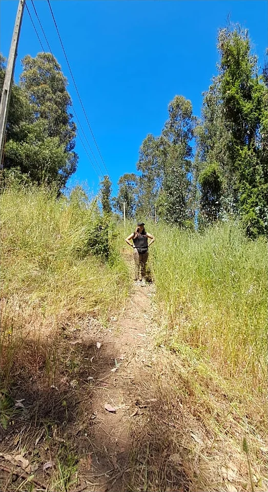 Sendero de tierra entre pasto seco alto, bajo líneas eléctricas, con una persona de pie en el camino